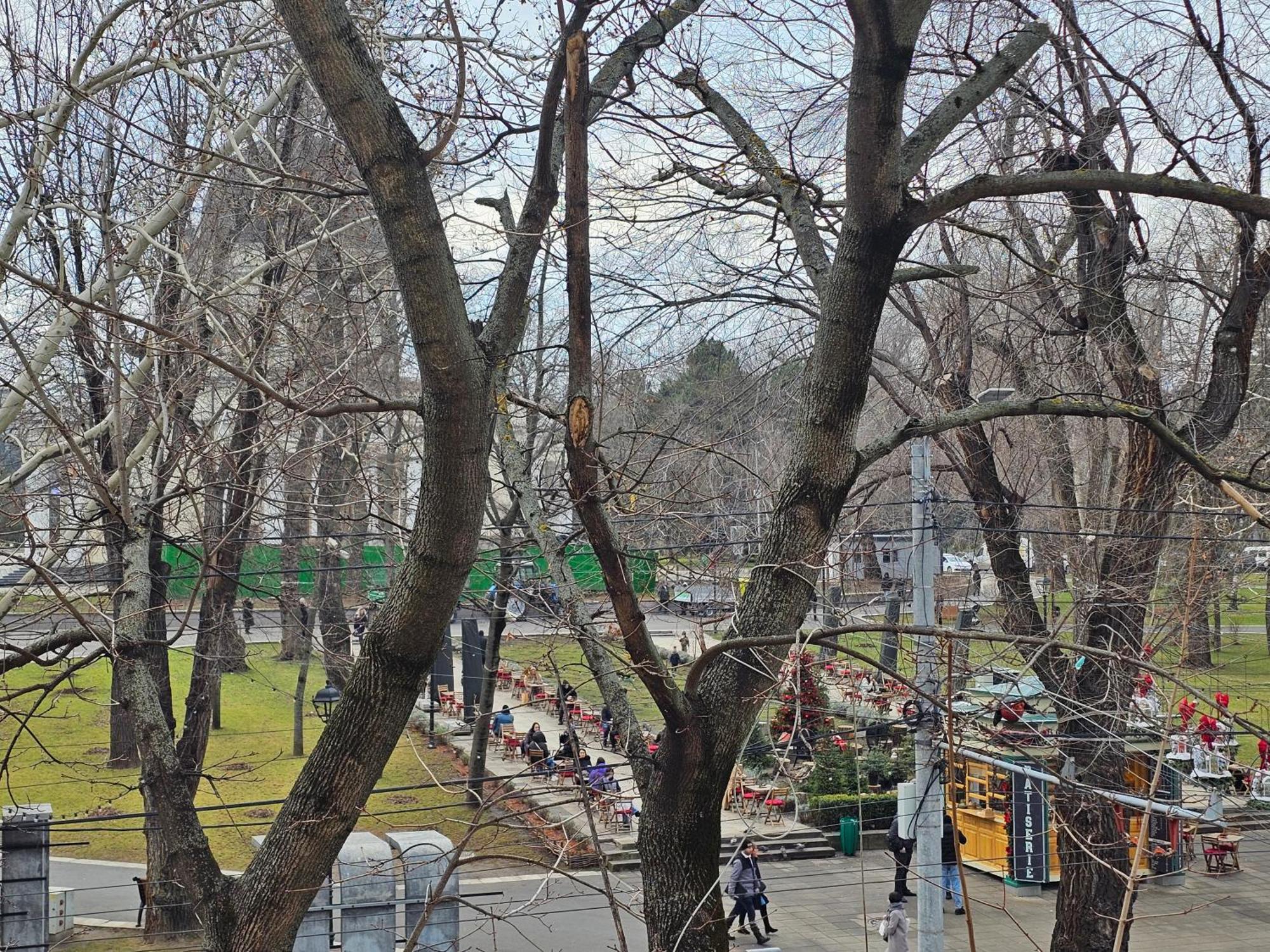Cathedral Park&Pedestrian Zone Apartment! Кишинёв Экстерьер фото